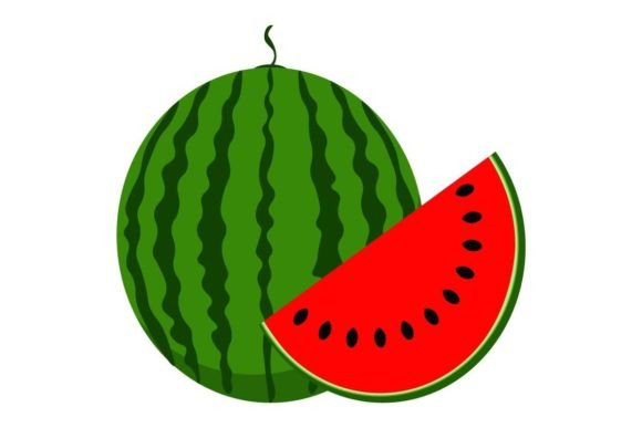 Download Watermelon Vector Illustration - Watermelon vector Collection